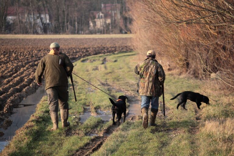 Chasse Saussines